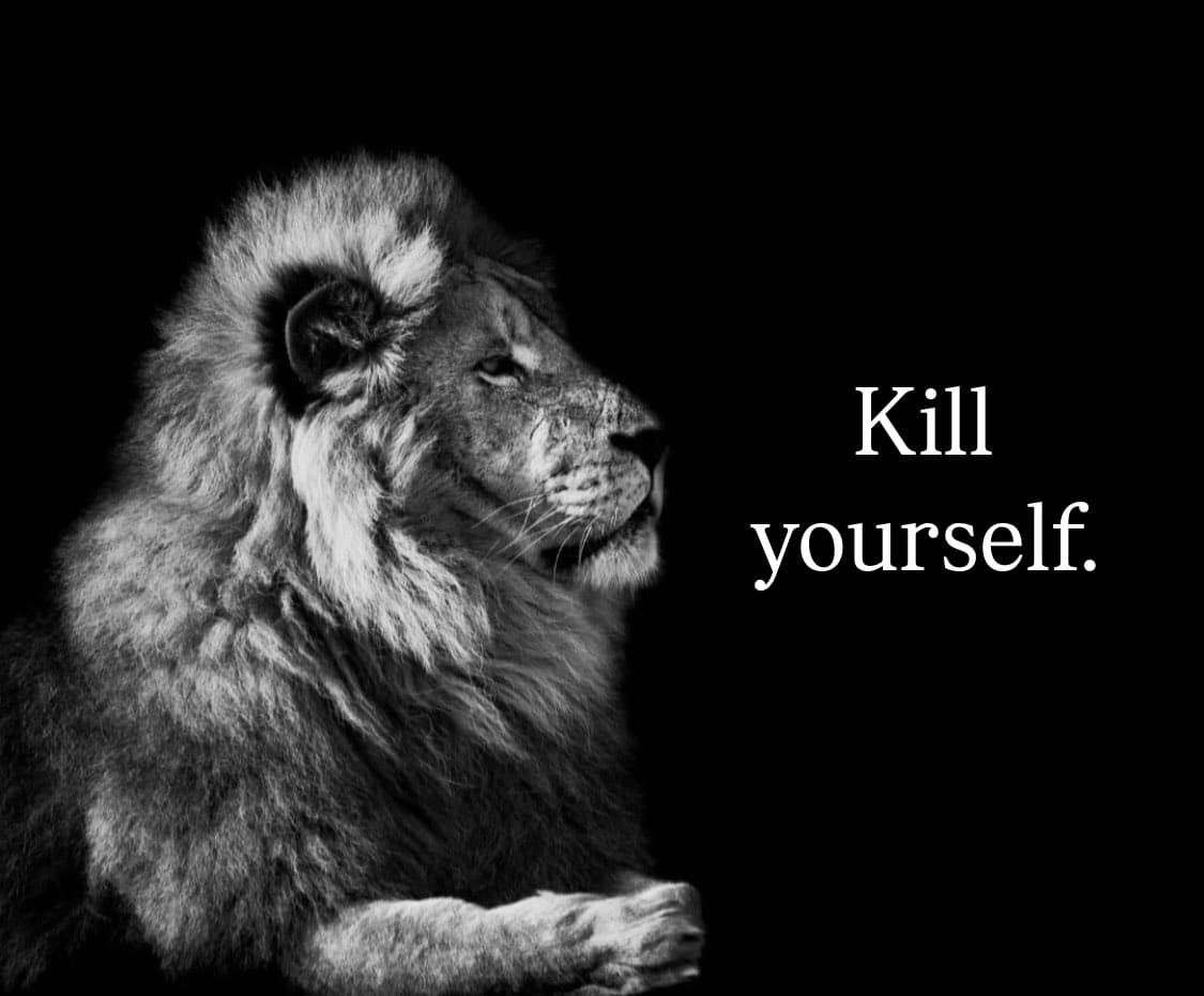 The Lion